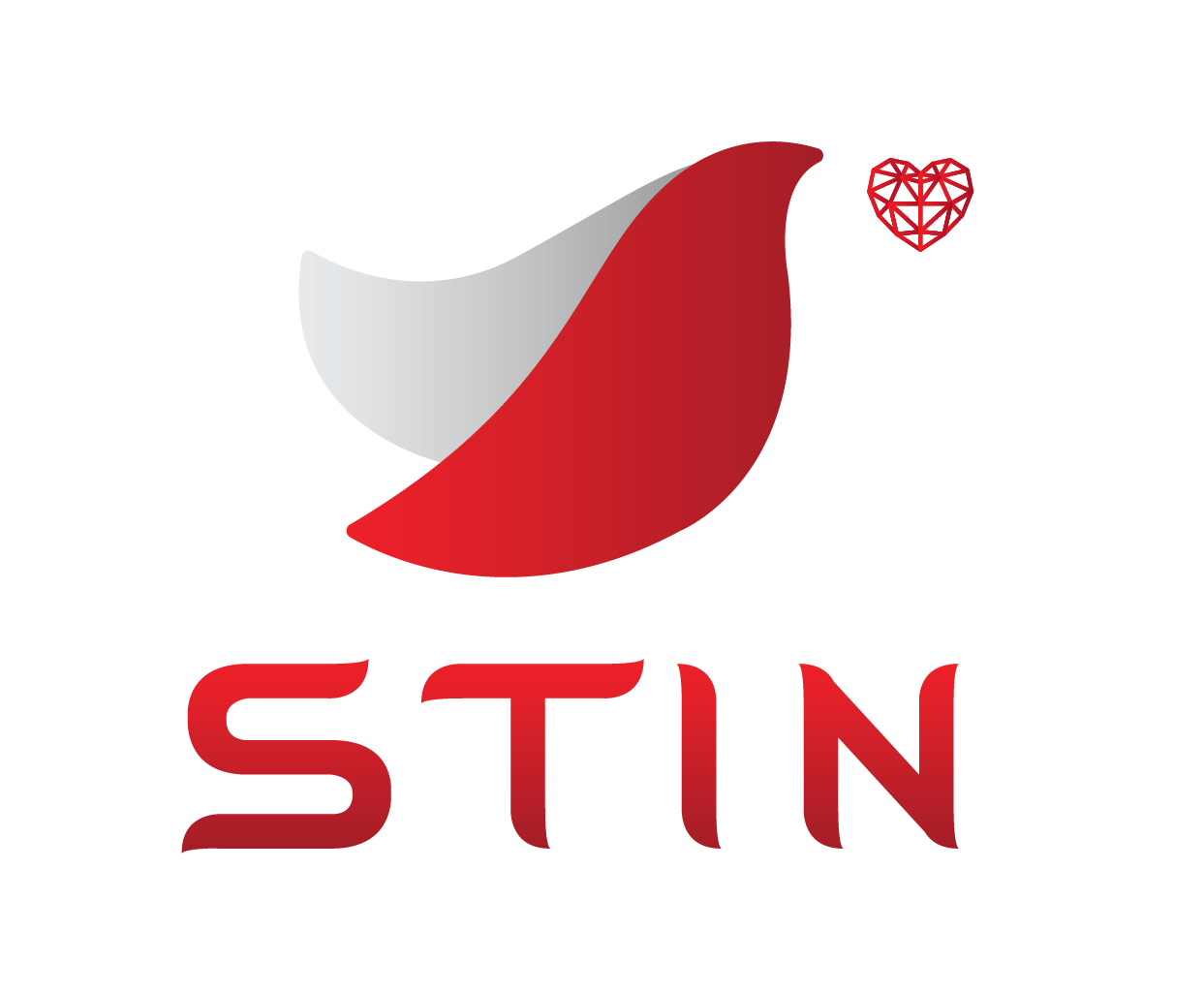 STIN-Elearning